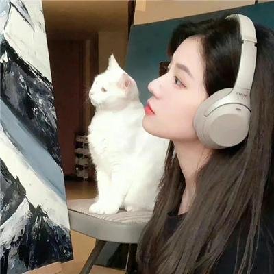 双枪侠
